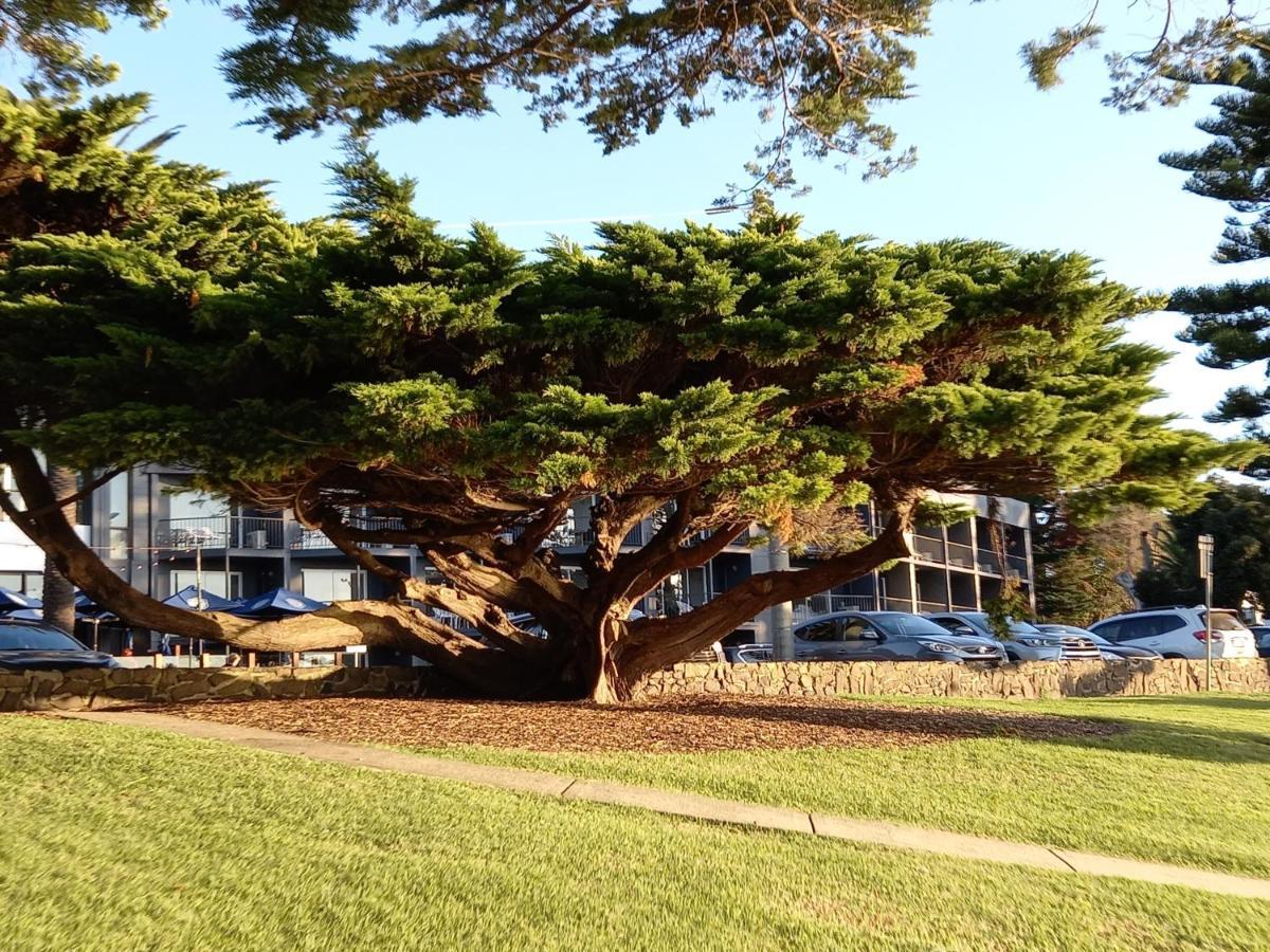 Apartments In Phillip Island Towers - Block C Cowes Buitenkant foto