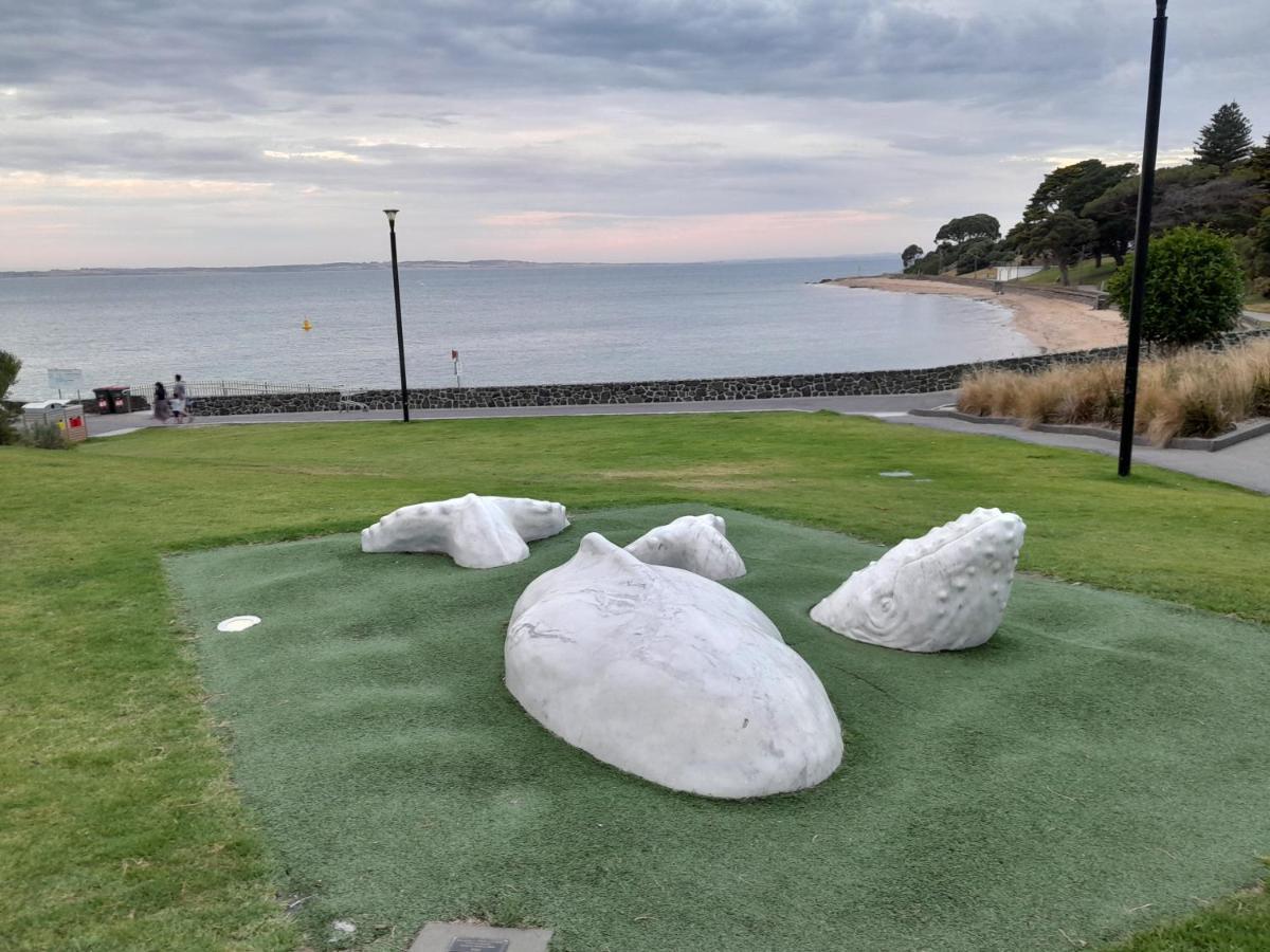 Apartments In Phillip Island Towers - Block C Cowes Buitenkant foto